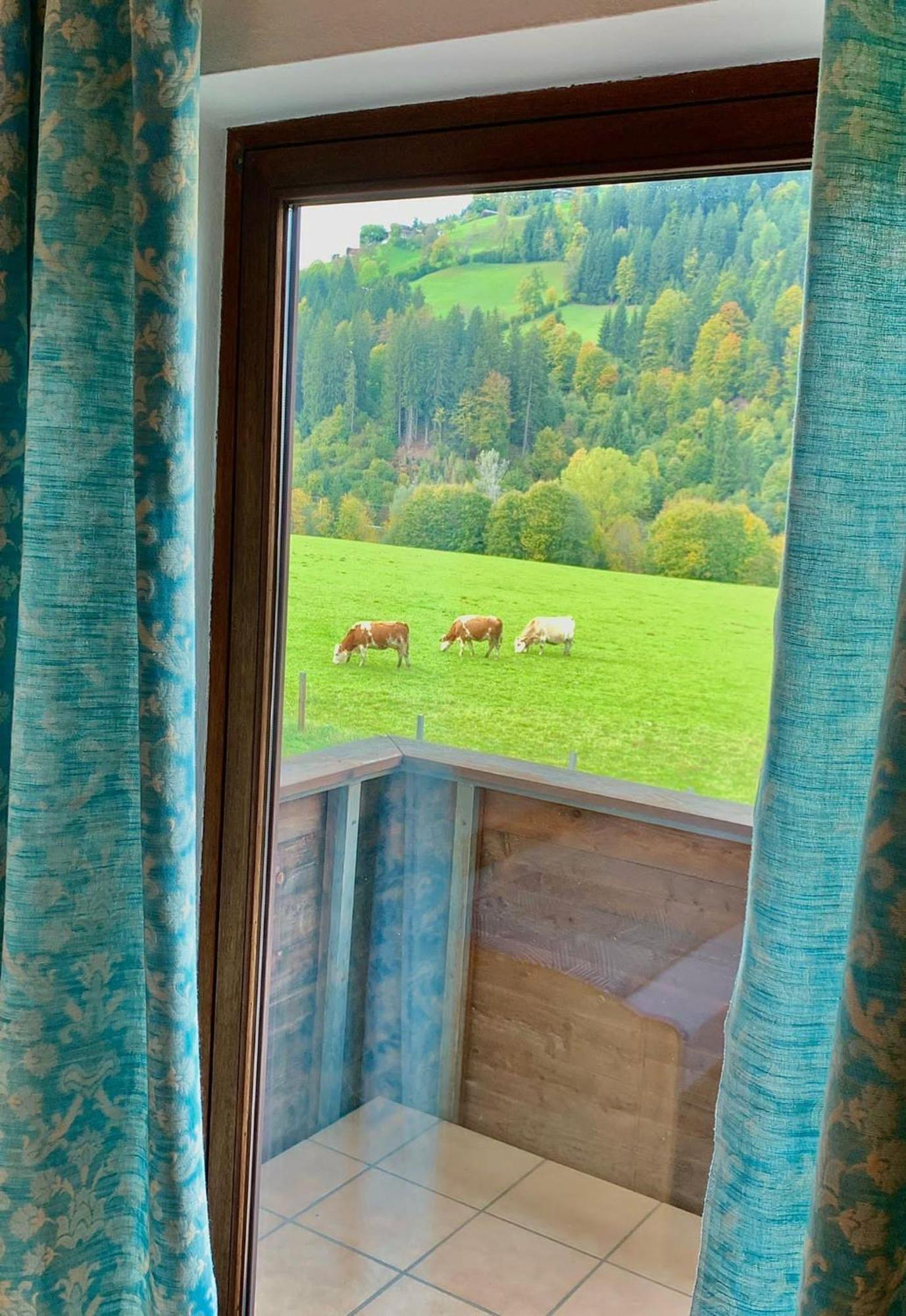Fleckalm Chalets Kirchberg in Tirol Room photo